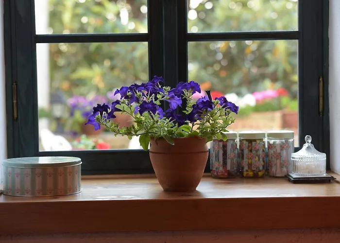 Panzió Ilya Sirince 3*