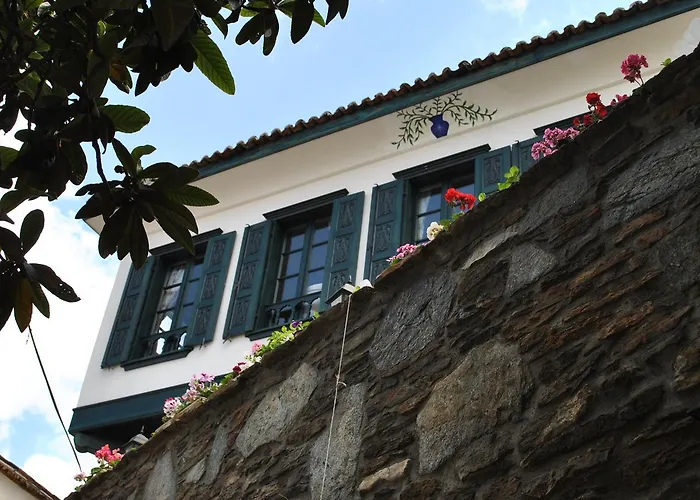 ılya şırınce Selçuk