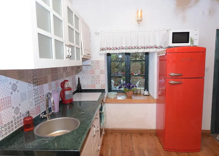 ılya şırınce Selçuk