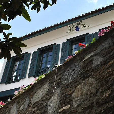 ılya şırınce Selçuk