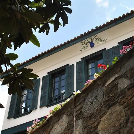 ılya şırınce 3* Selçuk